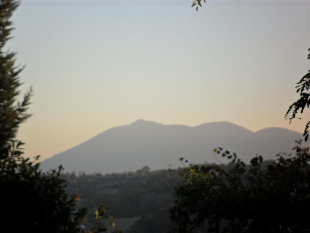 Le Rondini Bed and Breakfast Chiusi Esterno foto